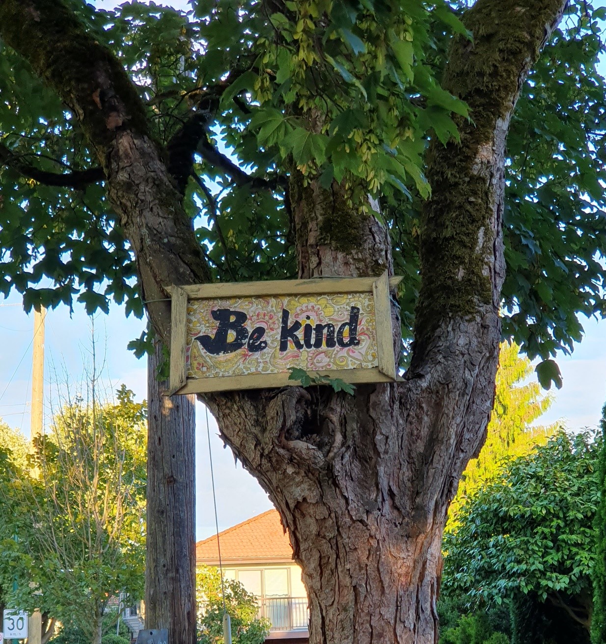 Täglich grüßt das Murmeltier