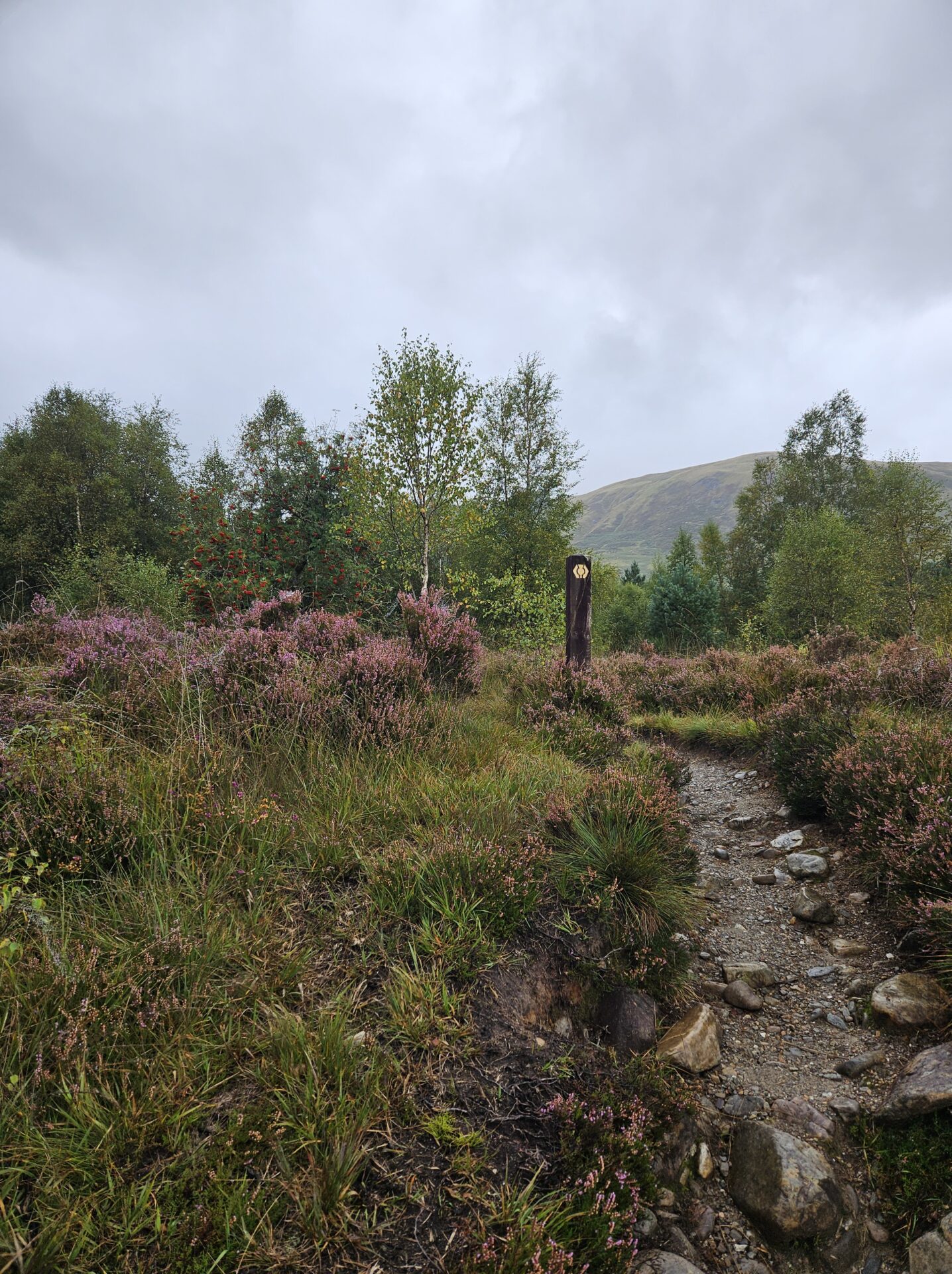 Die Täler der Highlands